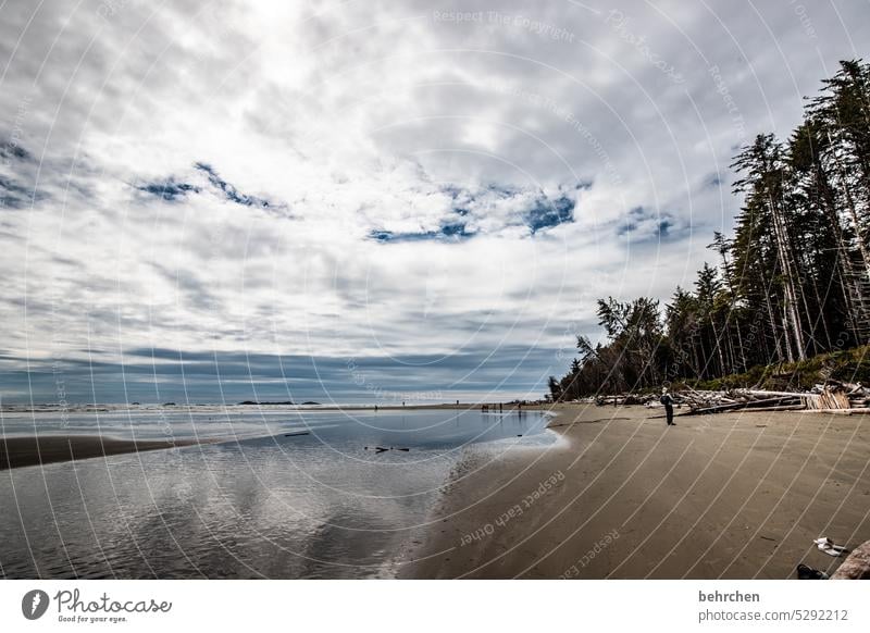 vancouver island British Columbia Long Beach Vancouver Island Canada Lonely North America especially Fantastic Loneliness Far-off places Exceptional Water Ocean