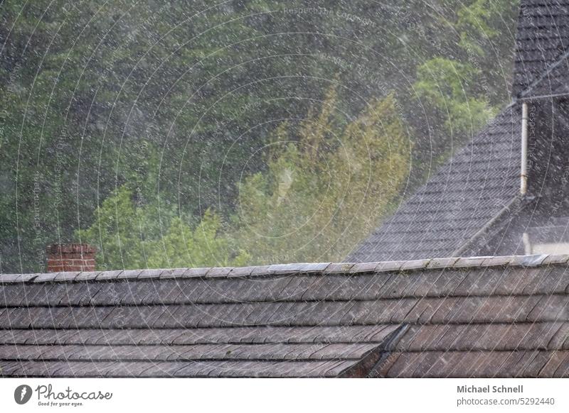 Pattering rain pelting rain crackle Rain downpour Wet Water Drops of water Damp Weather raindrops Bad weather Rainy weather Deserted get wet roofs