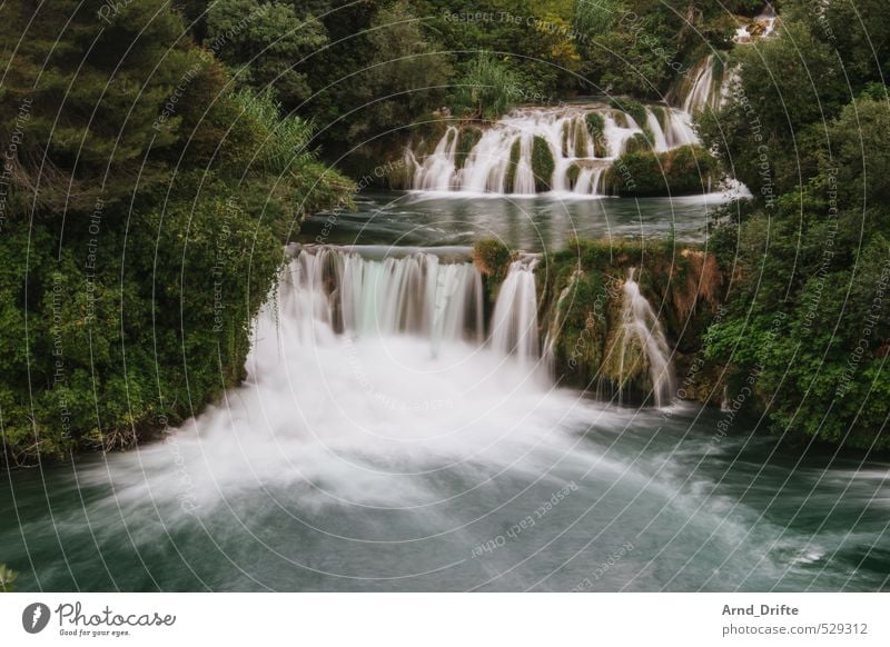 All flows... Summer vacation Beach Beautiful weather Warmth Waterfall Hot Croatia Romance Flow River Green Dalmatia National Park Krka Tree Lakeside