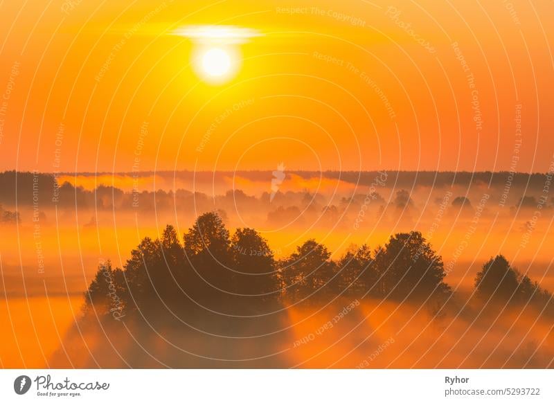 Amazing Sunrise Sunset Over Misty Landscape. Scenic View Of Foggy Morning Sky With Rising Sun Above Misty Forest And River. Early Summer Nature Of Eastern Europe