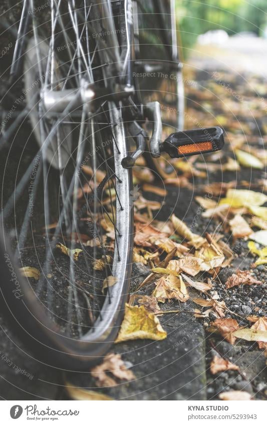 Urban bicycle in autumn vintage grunge weathered italian nostalgia photography dark toned biker close up traditional saddle wall style macro bokeh aged urban