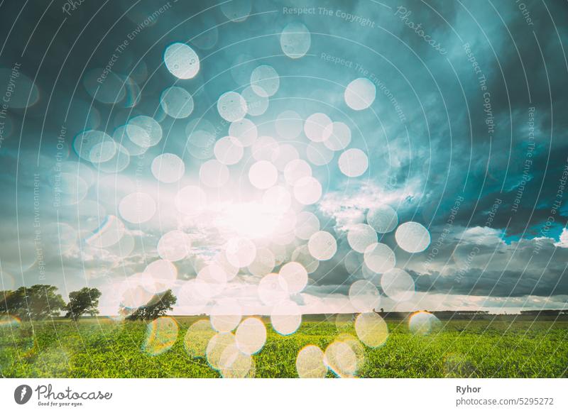 Rain Rainy Clouds Above Countryside Rural Field Landscape With Young Green Wheat Sprouts In Summer Cloudy Sunset Evening. Heavy Clouds Above Agricultural Field. Young Wheat Shoots 4K ,