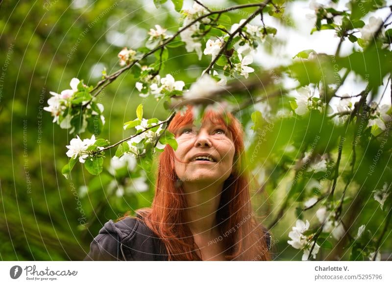 Mainfux I Blossom delights person Woman Human being 1 person twigs Upward Red-haired red hair Looking flowering branches Adults Feminine portrait Long-haired