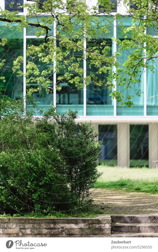 Glass facade, windows, trees and bushes in front of it Facade Glas facade Green Blue Turquoise stagger Park Architecture Window Modern Modern architecture Town