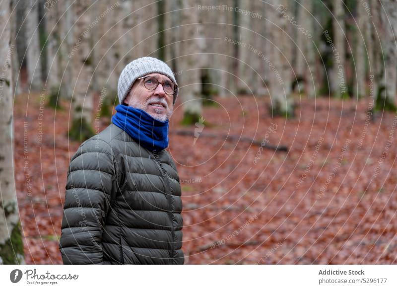 Senior man in warm clothes in forest autumn stroll nature countryside enjoy season fall senior elderly male outerwear eyeglasses walk calm weekend environment