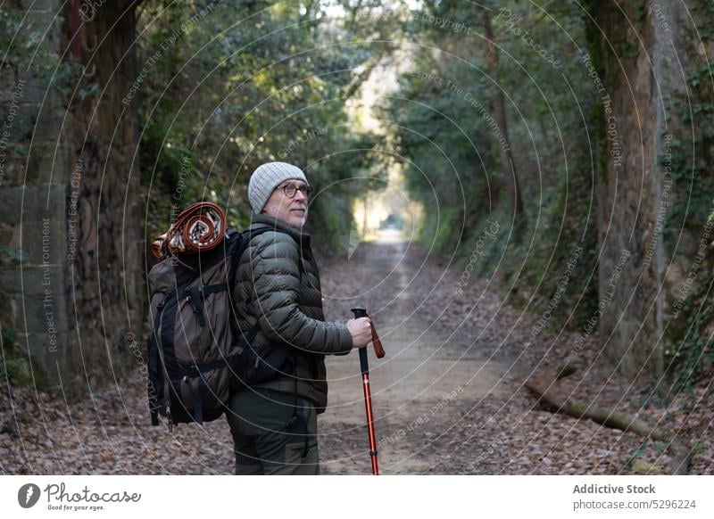 Hiker walking in forest man trekking traveler explore hiker woods nature wanderlust pathway male trip senior tree backpack pole adventure woodland rucksack