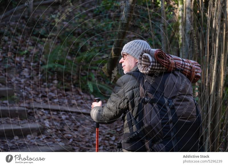 Elderly traveler with backpack and trekking poles in forest man hiker walk nature explore trip male senior adventure elderly stick pathway wanderlust woods