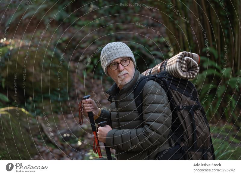 Elderly traveler with backpack and trekking poles in forest man hiker walk nature explore trip male senior adventure elderly stick pathway wanderlust woods