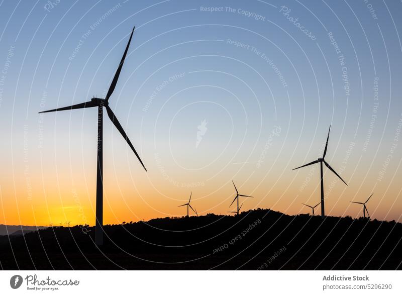 Wind turbines on field at sunset silhouette wind sundown nature countryside alternative energy cloudless sky tower sustainable efficient generator ecology power