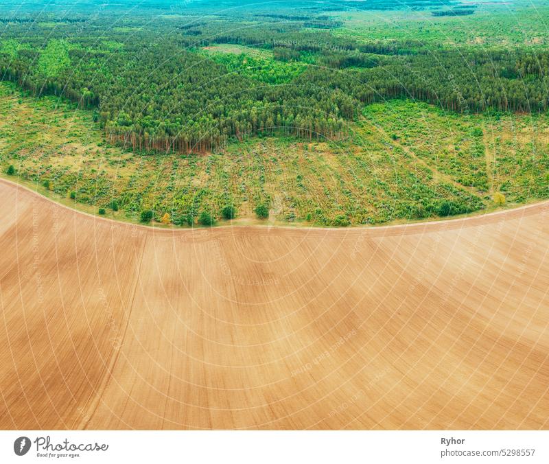 Aerial View Of Field And Deforestation Area Zone Landscape. Top View Of Field And Green Pine Forest Landscape. Large-scale Industrial Deforestation To Expand Agricultural Fields