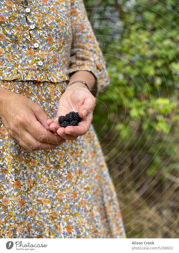 woman in  orange floral dress holding blackberries forage foraging brambles handful gathering outside pick hedgerow fruit wildfruit showing