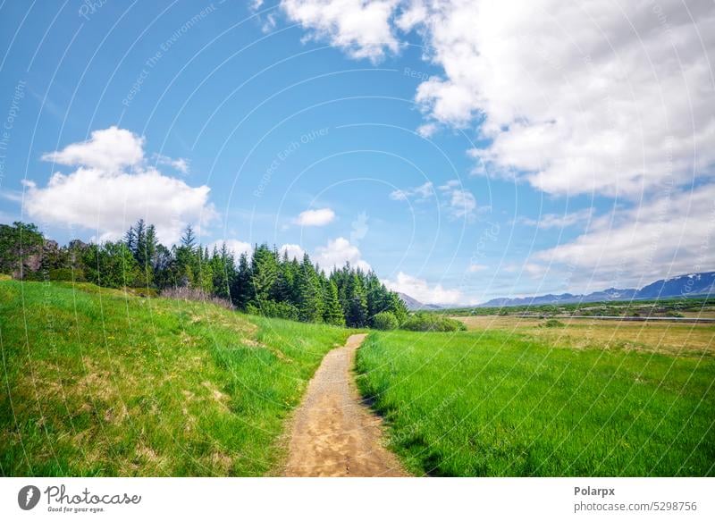 Nature trail in beautiful nature plant field austria region switzerland sunny meadow green idyllic hike way direction path tree natural blue sky life scenery