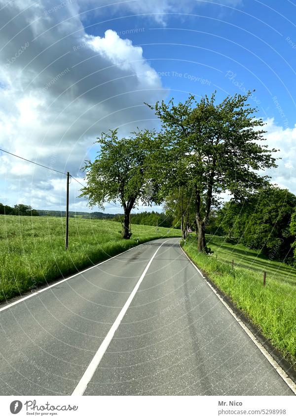 highway Median strip two lanes Motoring Tree Landscape Traffic infrastructure Lanes & trails on the road Out of town Roadside In transit Road traffic