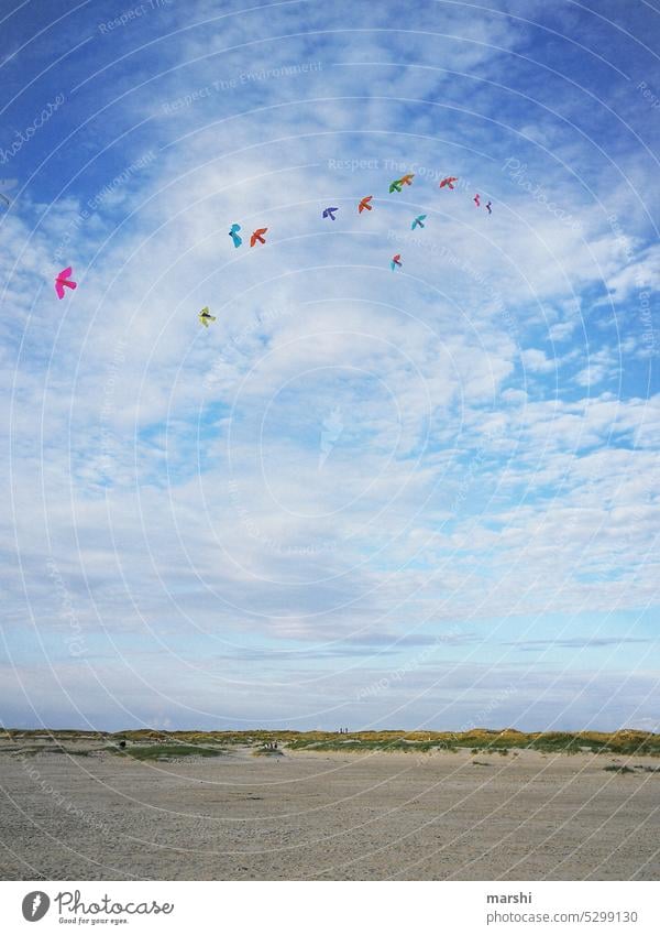 vastness wide North Sea Beach vacation Sand Freedom Wind Sky Hang gliding cloudy Weather Vacation photo holiday feeling coast Holiday & Travel Relaxation Nature