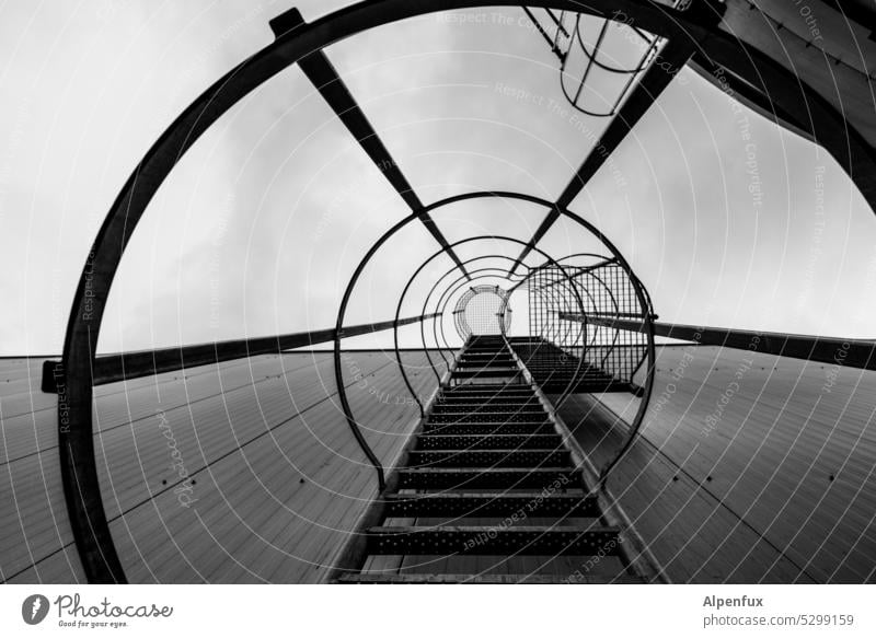 Frog Perspective | Ascent Roof access Roof ascent Ladder Sky Wall (building) Exterior shot Upward Architecture Go up Tall Facade Worm's-eye view Building