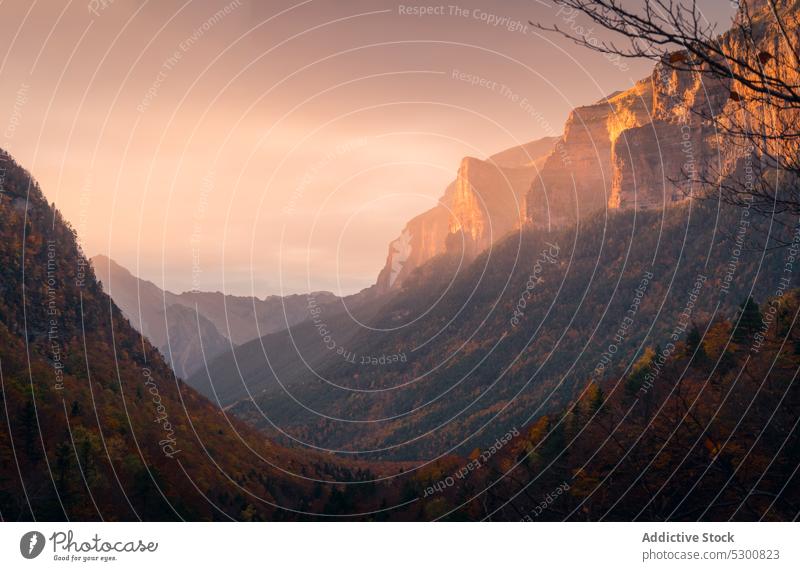 Picturesque view of rocky mountains in autumn day forest tree woods sunlight nature colorful countryside ordesa pyrenees of huesca spain park growth daytime