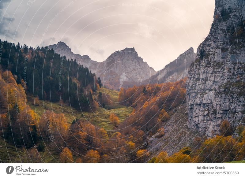 Mountain valley with autumn colorful trees hill rocky mountain sunlight sunshine nature fall peak ordesa pyrenees of huesca spain europe environment rough high