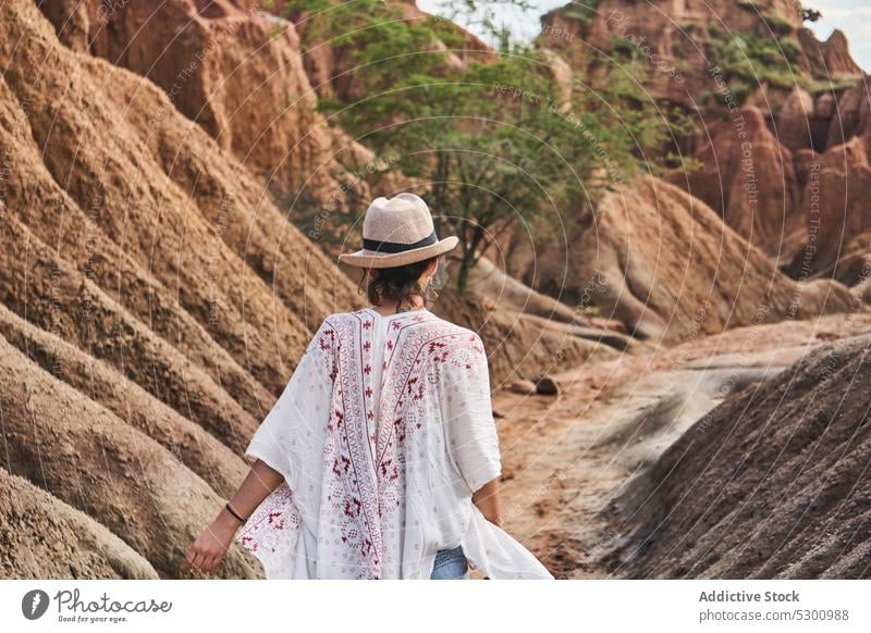 Anonymous woman admiring spectacular view in desert traveler hill cactus landscape admire walk amazing tatacoa female colombia tourism adventure trip explore