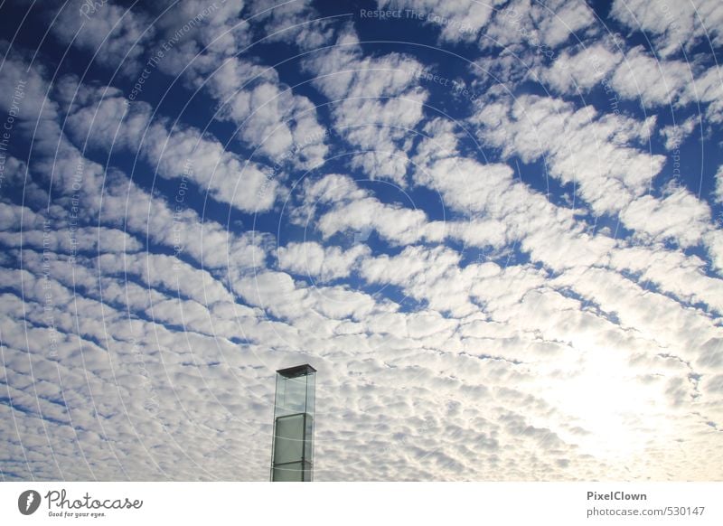 View to the sky Tourism Far-off places Freedom Summer Industry Information Technology Aviation Television Air Sky Sky only Clouds Horizon Weather