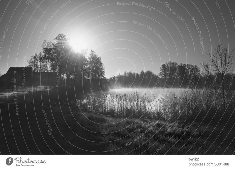 Terrain Lake Lakeside Idyll Sunlight Illuminate Back-light Panorama (View) Long shot Black & white photo out wide Glittering Loneliness Water reflection