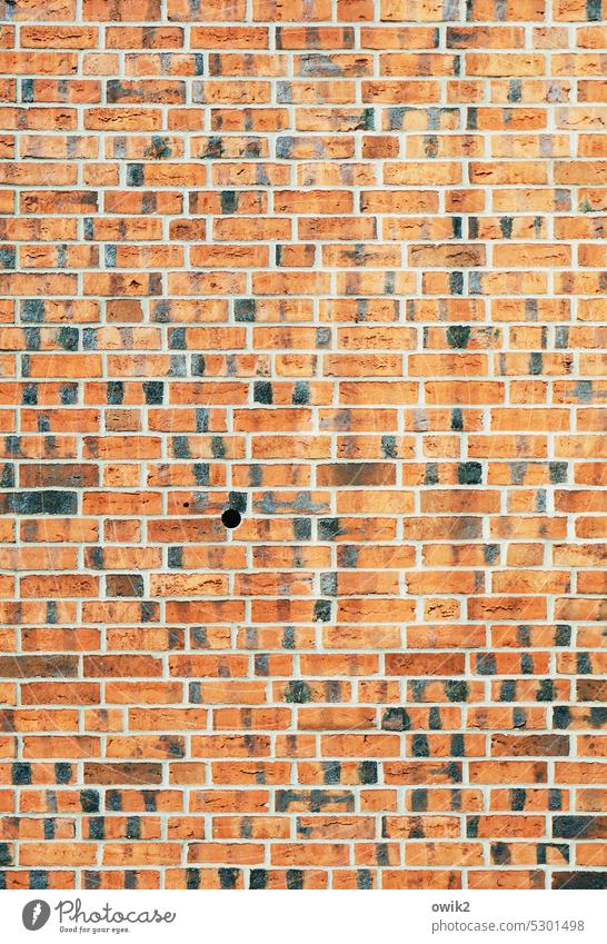 mural Brick Wall (building) Facade Colour photo Multicoloured Exterior shot Pattern Long shot Brick facade Brick wall Design Gloomy Wall (barrier)