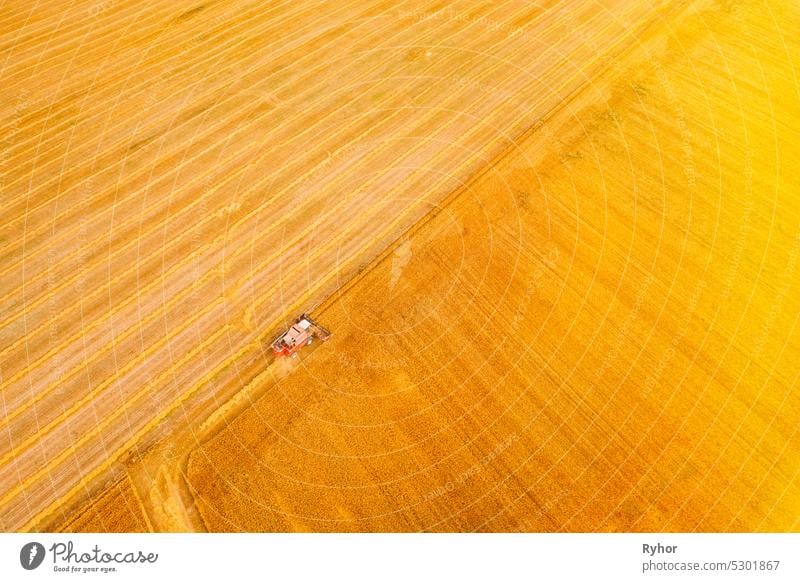 Aerial View Combine Harvester Working In Field. Harvesting Of Wheat In Summer Season. Agricultural Machines Collecting Wheat Seeds aerial aerial view