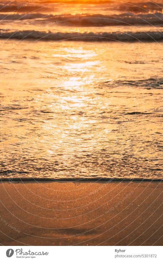 Sunset sunlight above sea. Sea ocean water warm colors. Ripple sea ocean water foam washing sandy beach at sunset. Sea ocean water surface with small waves at sunset. Amazing landscape scenery. Copy space. Nature background. Vertical photo