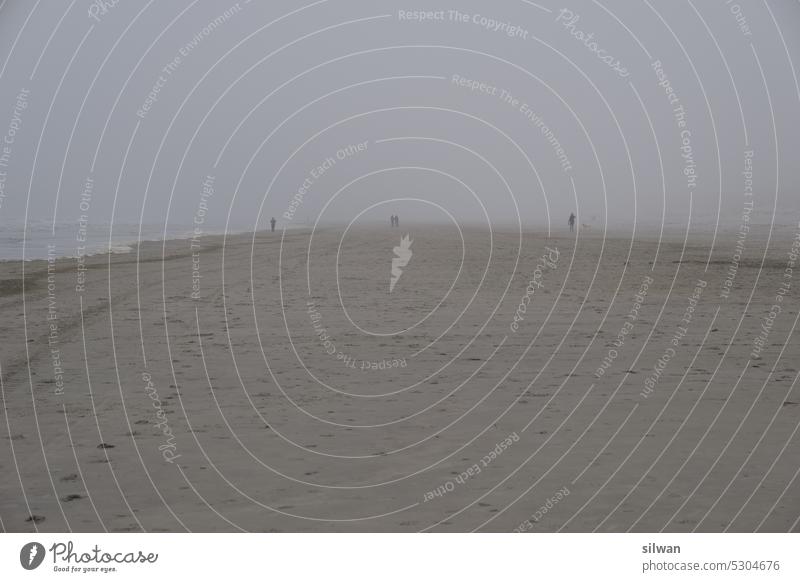 Watenmeer beach in windy wet misty weather Beach Wading Sea Sandy beach Fog Wind Cold Wet somber Damp Waves Foam Gray White foggy Salty moody harsh chill