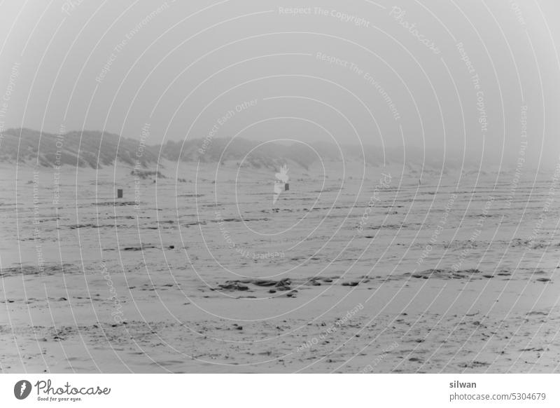 Wadden Sea Beach - follow the trash cans Wading Sea Sandy beach Fog Wind Cold Wet somber Damp Waves Foam Gray White foggy Salty moody harsh chill Ameland wade