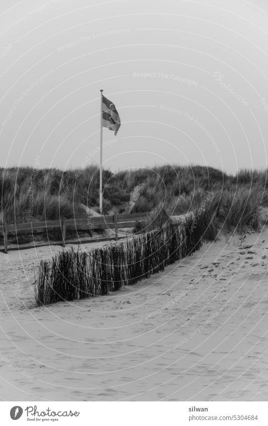 Watenmeer beach in windy wet misty weather Beach Wading Sea Sandy beach Fog Wind Cold Wet somber Damp Waves Foam Gray White foggy Salty moody harsh chill