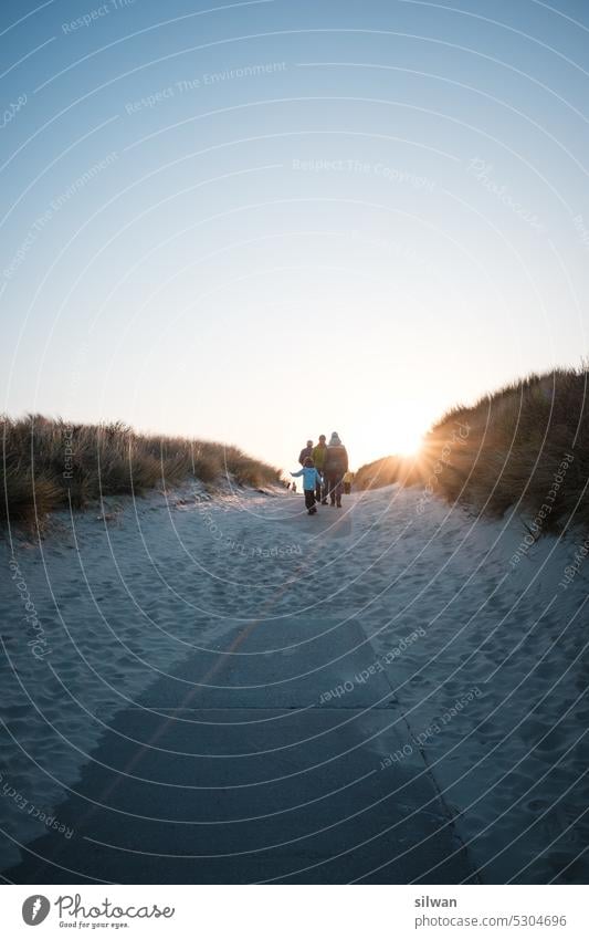 Sunset at wading sea beach grass duene Sand Wading Sea Nature Ocean coasts North Sea Green Beige Tuft of grass holidays Marram grass blue hour Orange warm