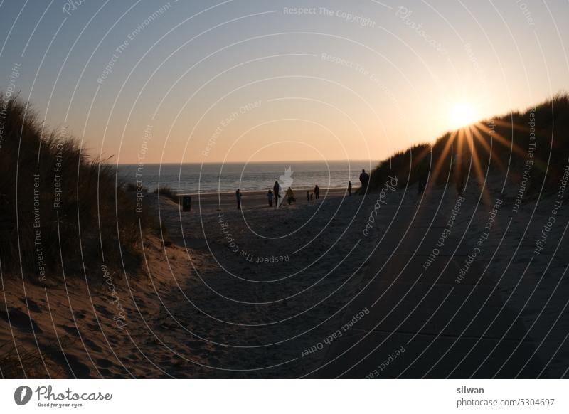 Sunset at wading sea beach grass duene Sand Wading Sea Nature Ocean coasts North Sea Green Beige Tuft of grass holidays Marram grass blue hour Orange warm