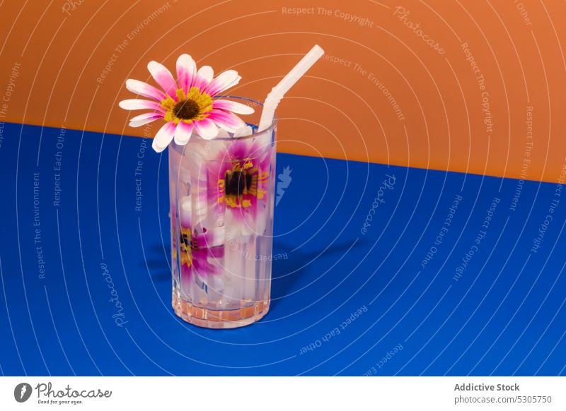 Glass of fresh cocktail with flowers and straw beverage drink refreshment glass cold alcohol bloom delicious colorful plant bright pink transparent tasty