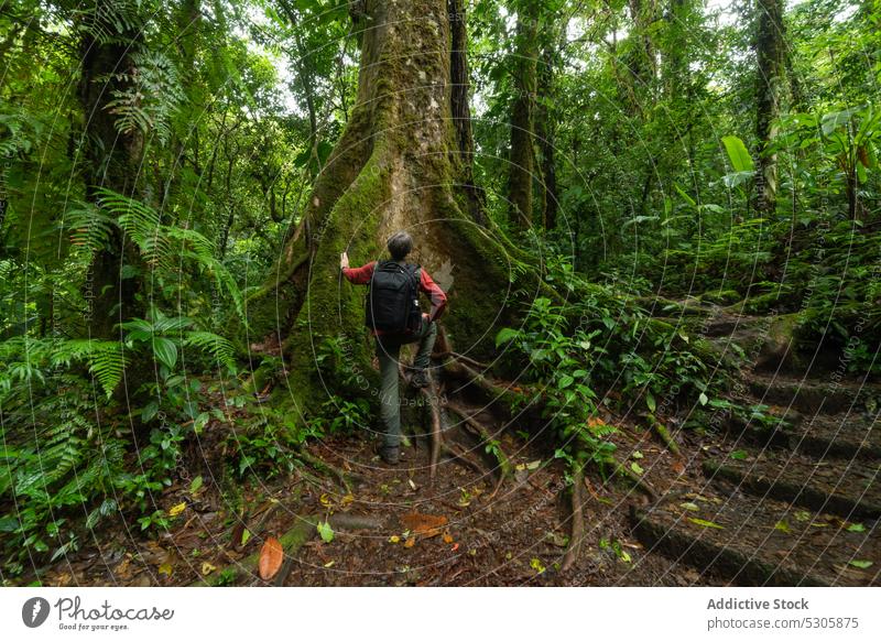 Unrecognizable traveler with backpack in forest tropical hike nature tourist vacation adventure tourism costa rica jungle rainforest journey wanderlust exotic