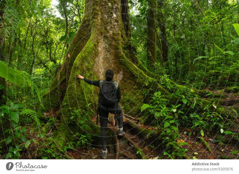 Unrecognizable traveler with backpack in forest tropical hike nature tourist vacation adventure tourism costa rica jungle rainforest journey wanderlust exotic