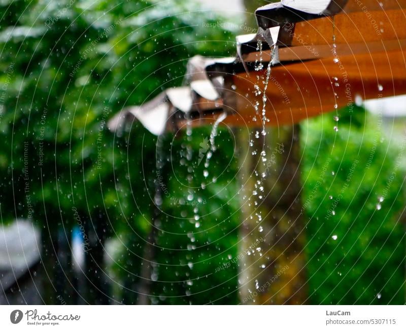 summer rain downpour Rain Weather Sun blind raindrops Water Wet Bad weather Drops of water Rainy weather Flow Damp Shifty weather foul weather Refreshment