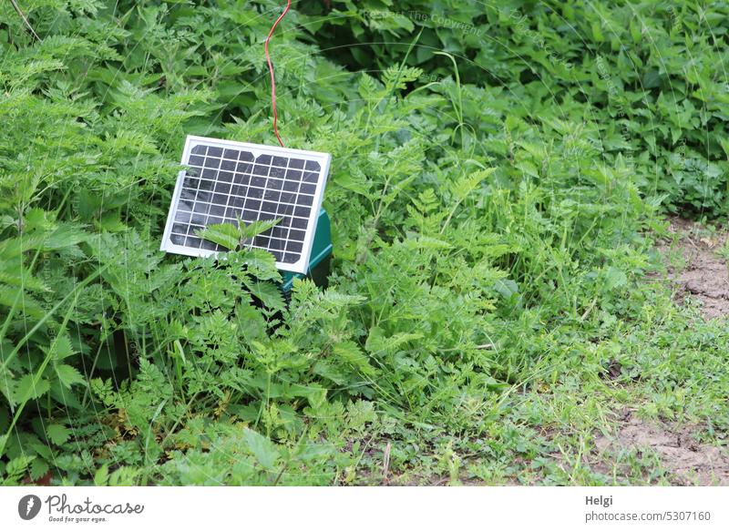 Mainfux-UT | Mini solar panel on a pasture Energy generation Renewable energy Energy industry Solar Power Solar Energy Sustainability photovoltaics Solar cells