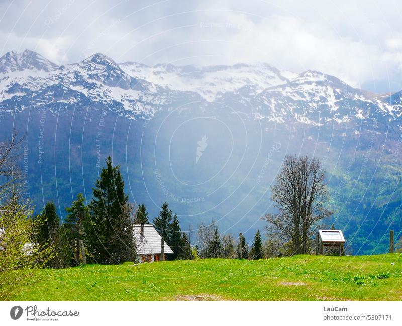 Mountain, forest, cloud, meadow mountain Forest Meadow Snow in the mountains Green Nature Landscape Sky panorama Vantage point Peak