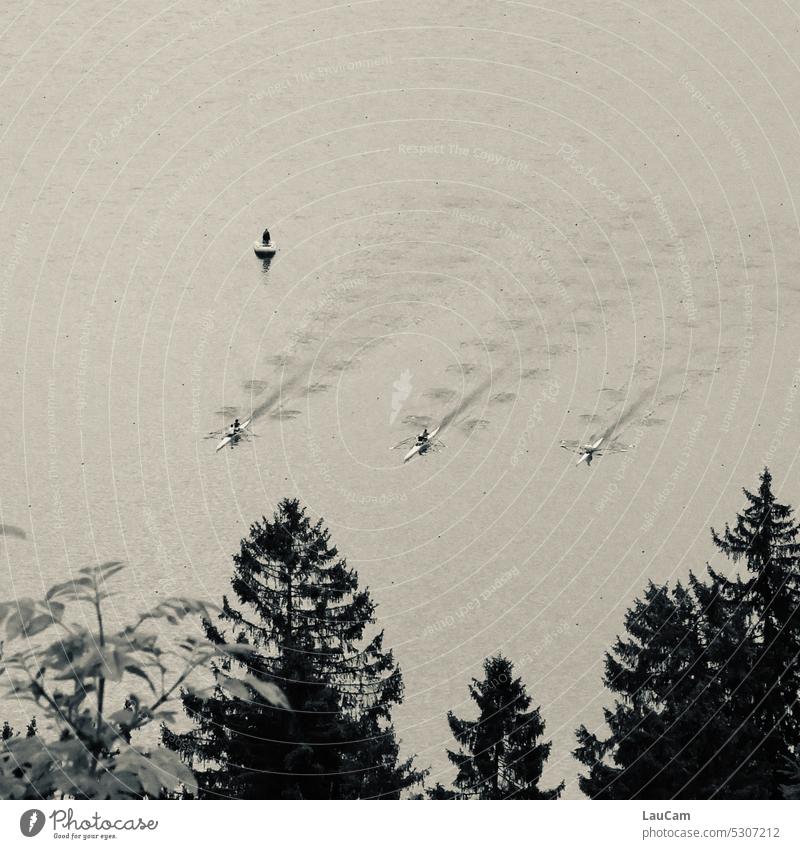 Training on the lake - three rowers in unison Rower Rowing Lake Aquatics Rowboat Sports Water synchronous Synchronous trees Black & white photo