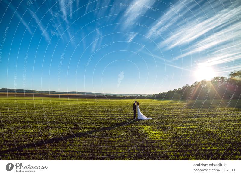 elegant groom hugs a gorgeous brunette bride on a background of nature and blue sky happy stylish love landscape style beautiful wedding couple family female