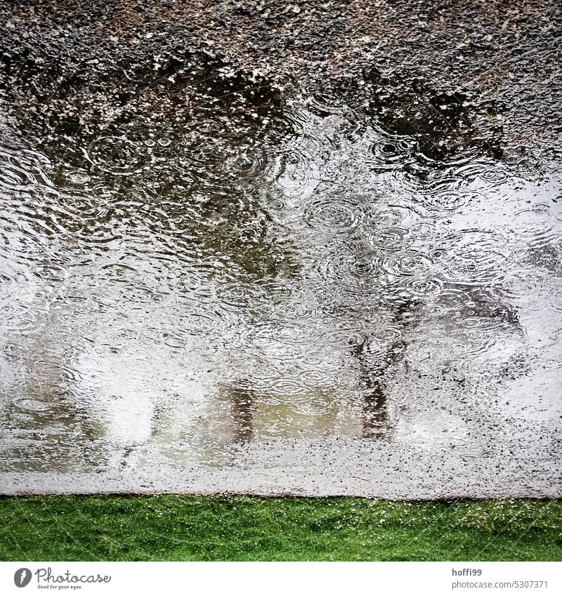 abstract view of raindrops leaving traces of a puddle - the green on the edge is silent observer Abstract Puddle tropics circles hazy clearer blurriness