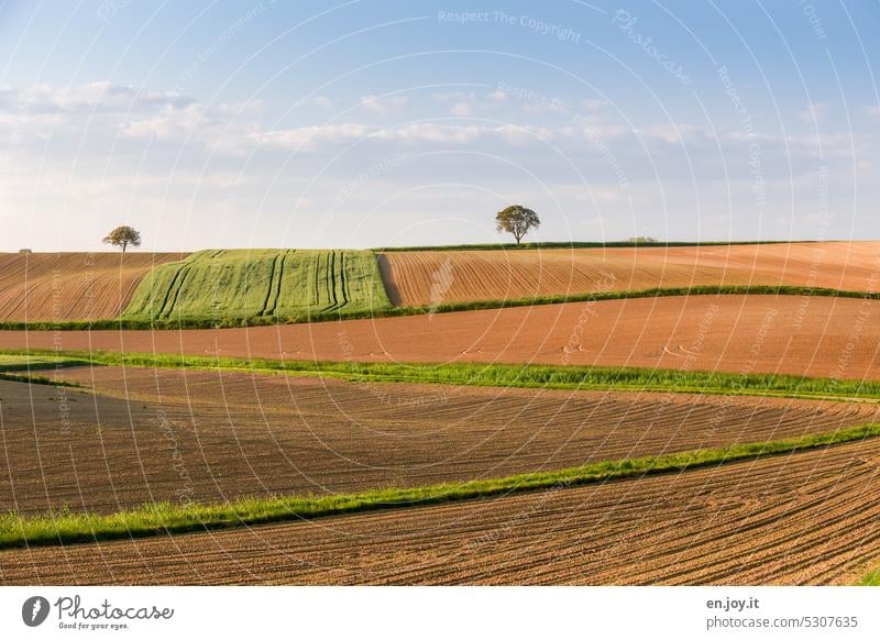 plowed fields Agriculture Plowed seeded Horizon Hill Tree Sky Clouds acre Field Cornfield Grain field Wheatfield Barleyfield Agricultural crop Nutrition Summer