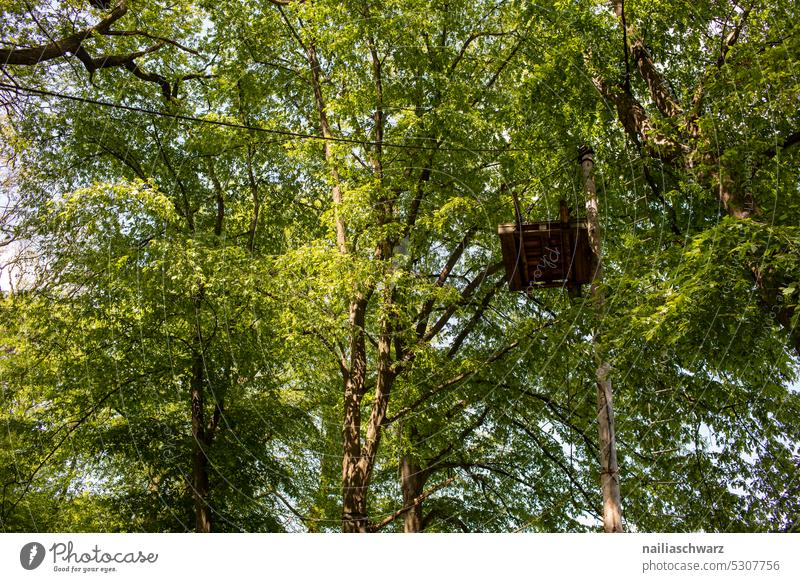 Protest architecture Tent trees Soft coal mining 1.5 degrees coal exit Global warming Climate change Villages expropriation Lignite RWE Politics and state