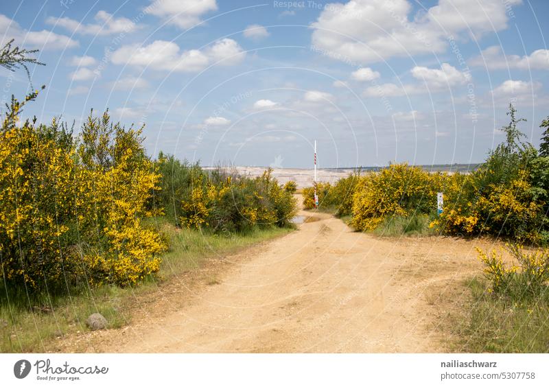 Hambach opencast mine open pit mining Opencast mining Hambach Politics and state NRW RWE Landscape Threat North Rhine-Westphalia Environmental Destruction