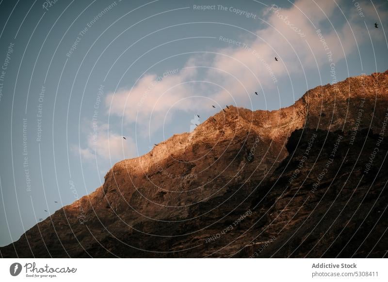 Birds flying over rocky mountains bird flock ridge highland blue sky nature cloudy landscape lanzarote spain canary islands scenic sun formation environment