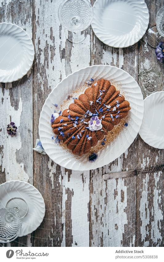 Appetizing chocolate cake served with flowers dessert sweet delicious pastry food tasty yummy baked table plate gourmet confectionery fresh homemade treat