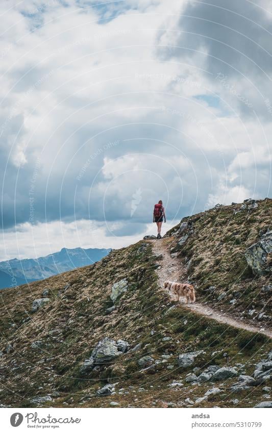 Hiker with dog in the mountains hike Landscape Hiking Nature Dog Adventure High mountain region Mountain Exterior shot Vacation & Travel Hiking trip Tourism