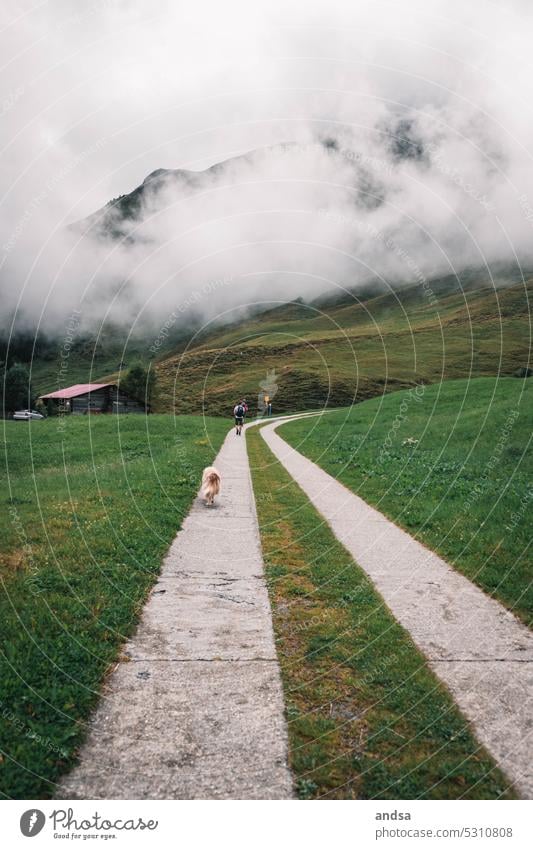 Hiker with dog in the mountains wanderer Australian Shepherd hike Landscape Dog Nature Hiking Adventure Exterior shot Mountain High mountain region