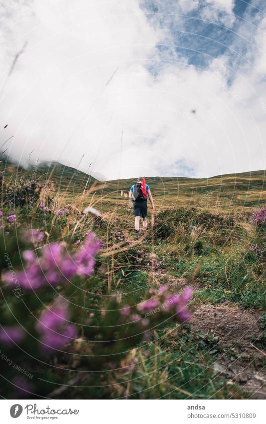 Hiker in the mountains hike Landscape Hiking Nature Man Dog Adventure High mountain region Mountain Exterior shot Vacation & Travel Hiking trip Tourism