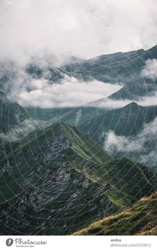 Mountain range in Switzerland summit chain Fog Clouds High fog Summer Hiking Green Landscape Nature Alps Freedom Deserted Peak Panorama (View) Far-off places